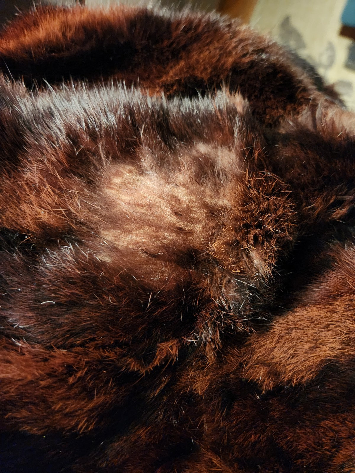 50s/60s Fur Wrap