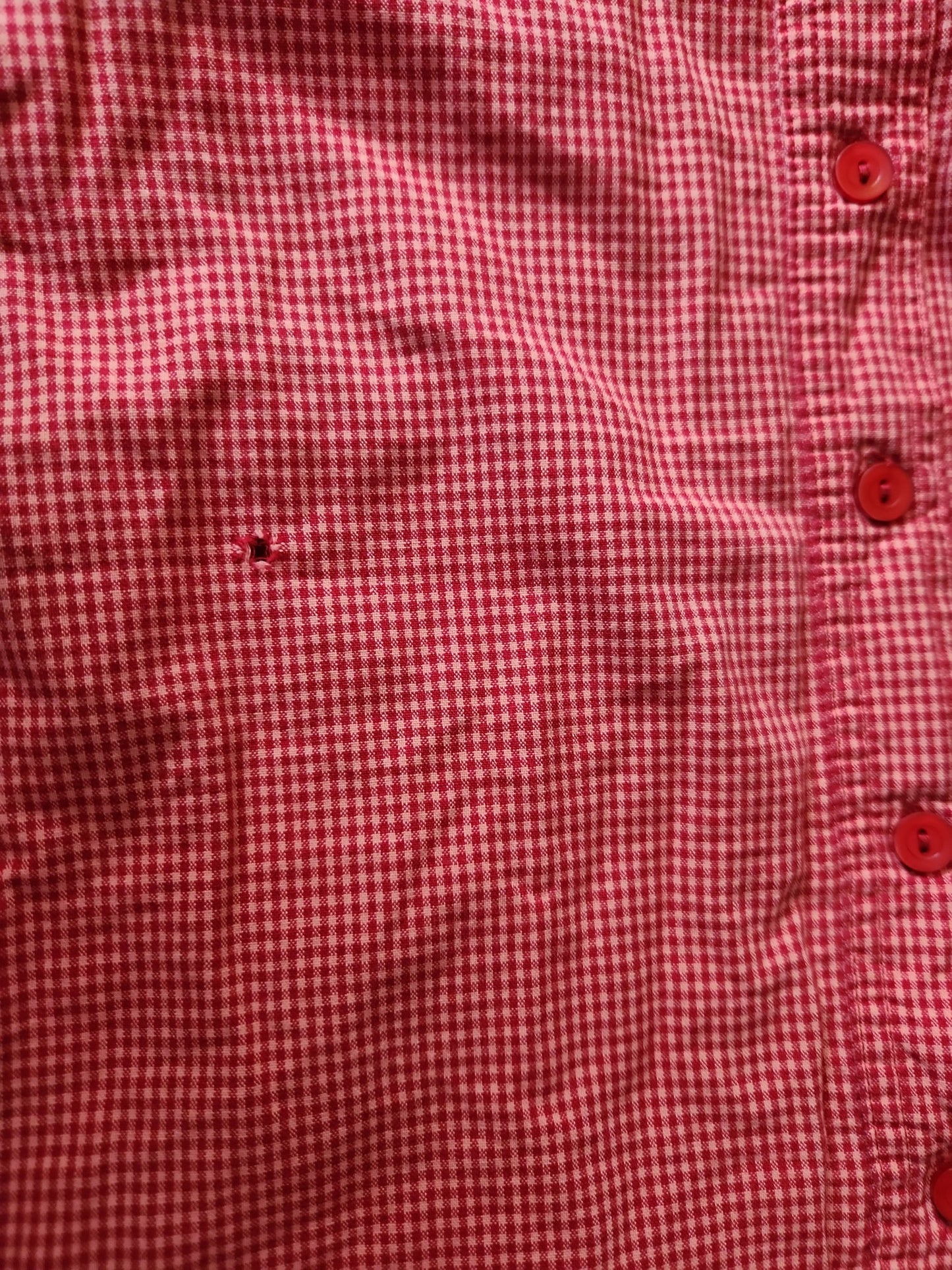 90s/Y2K Red Plaid Western Tweety Bird Shirt