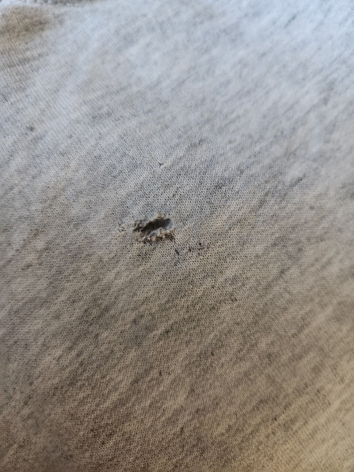 90s Gray Crow Grandmacore Sweatshirt