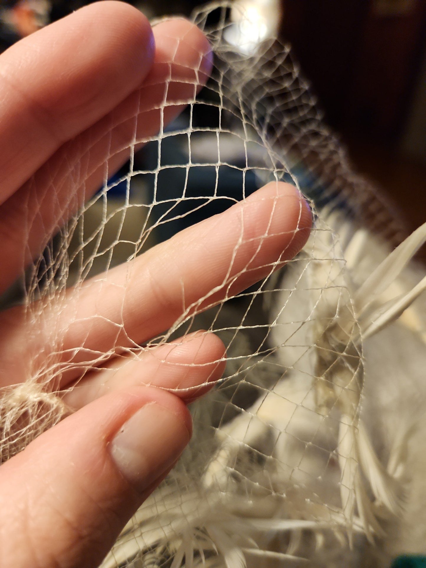 Vintage White Bird Hair Veil