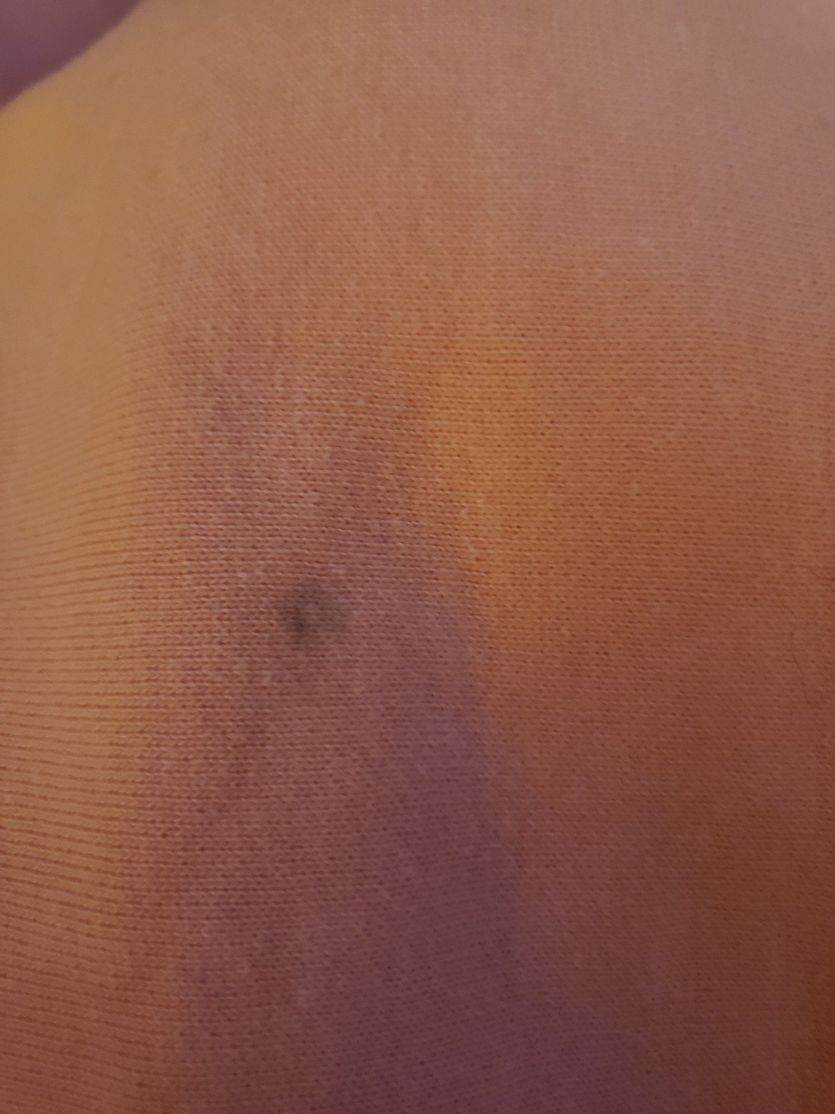 90s Pink Wisconsin Crew Neck Sweatshirt