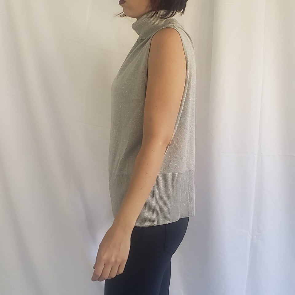 NwT Silver Silk Sleeveless Blouse