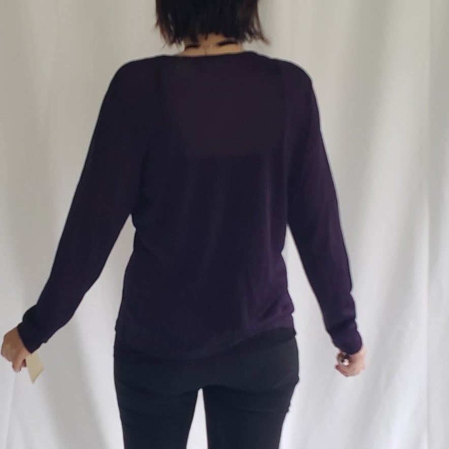 NWT Purple Sparkly Sheer Top