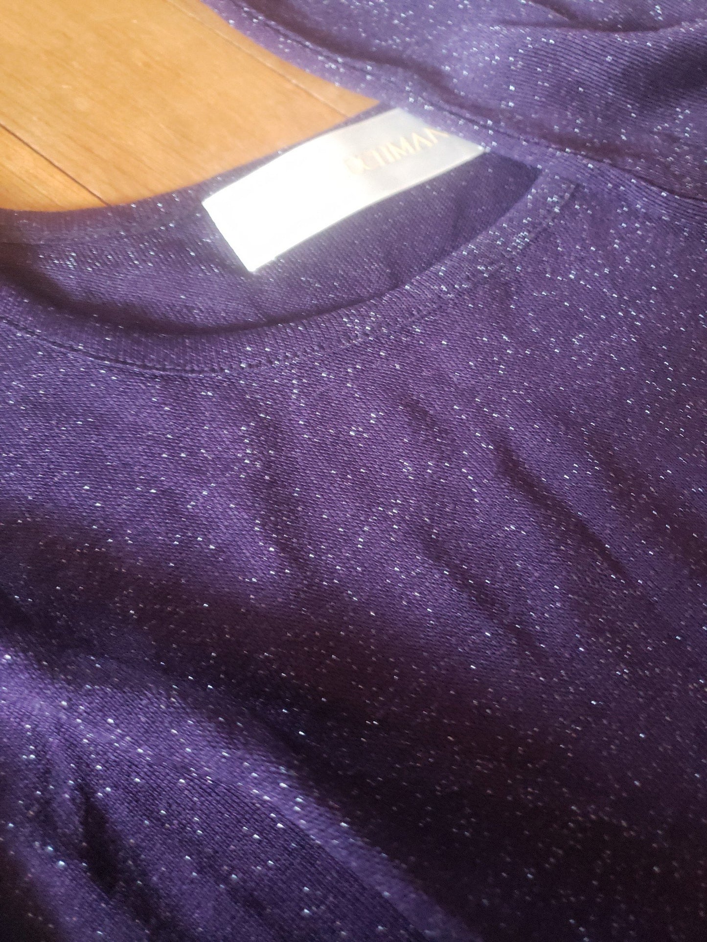 NWT Purple Sparkly Sheer Top